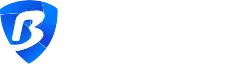bitbrowser.webp